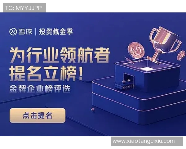 张帆：在时代浪潮中追寻梦想的青年领航者与奋斗故事